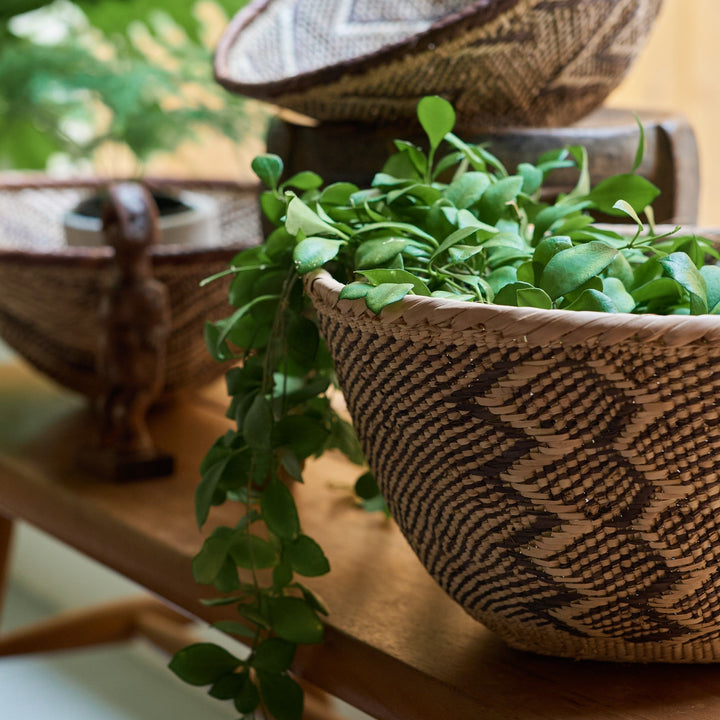 鉢皿やインナーポットを使えば、植物まわりの収納としても。
