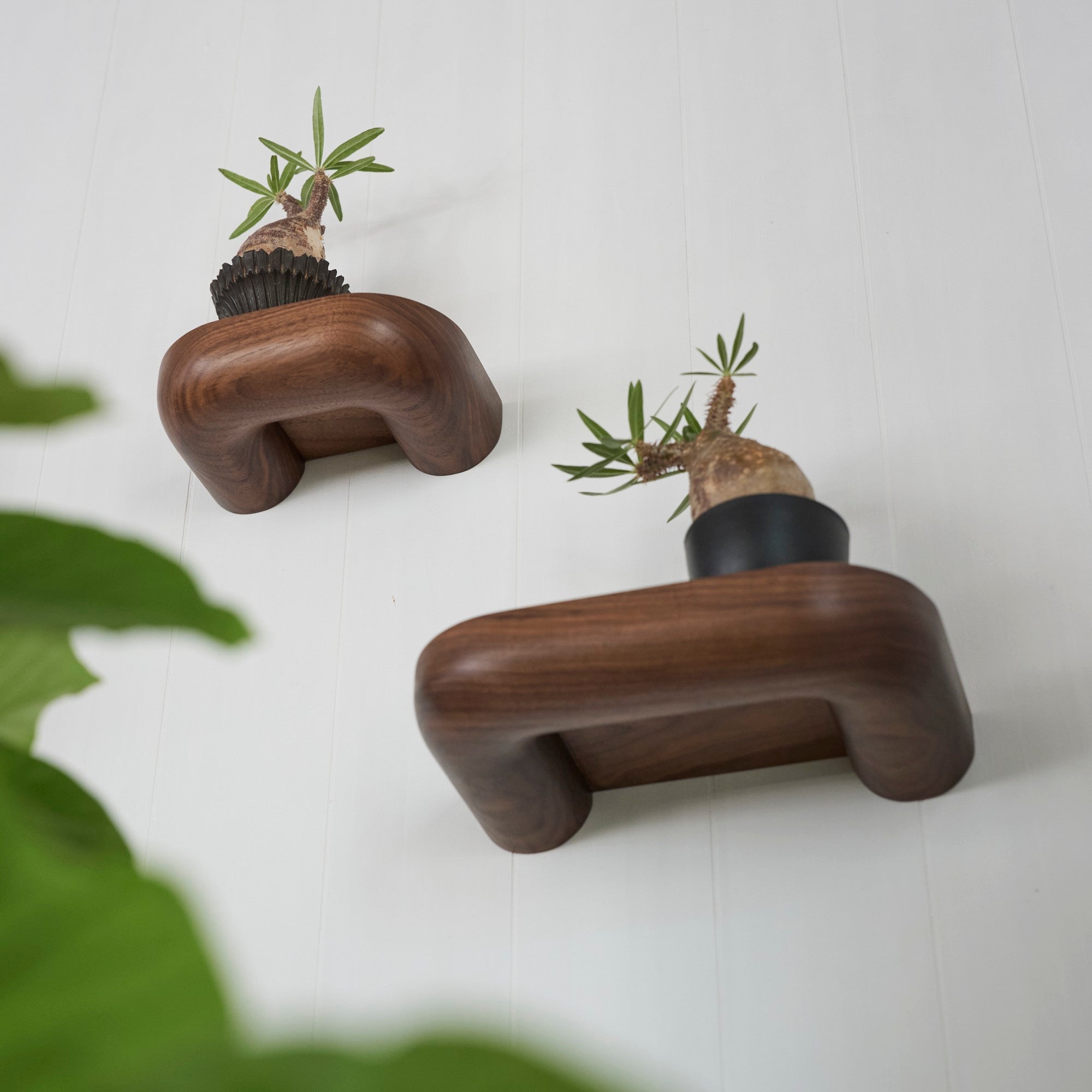 ウォールシェルフ | UKITANA | ウォルナット – tiflo