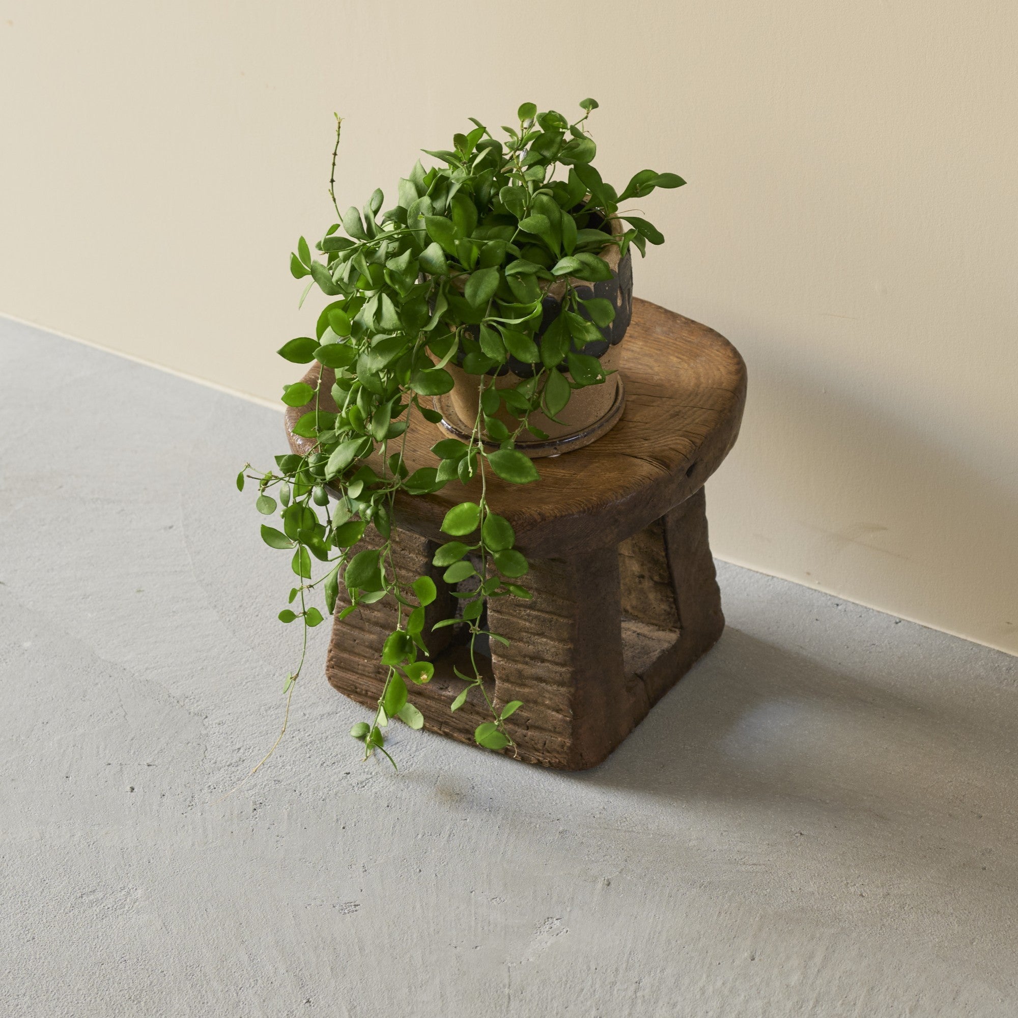 アフリカ ブルキナファソ ヌヌマ族 ヌヌマスツール アフリカンヴィンテージ | Bamum Stool 002 | バムン族 – tiflo
