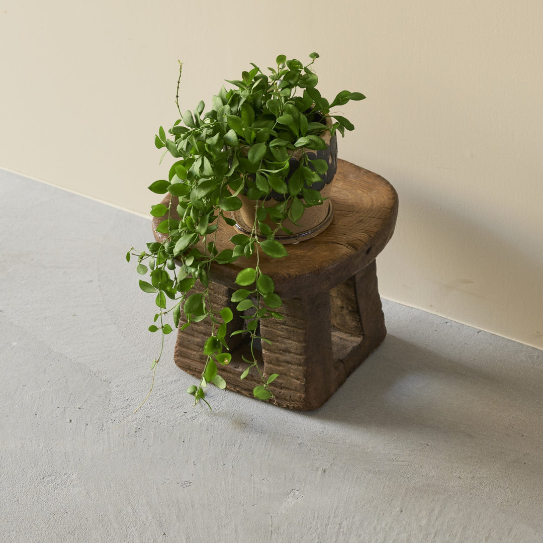 椀型の天板に小さな植物を置けば、スツールが台座に。