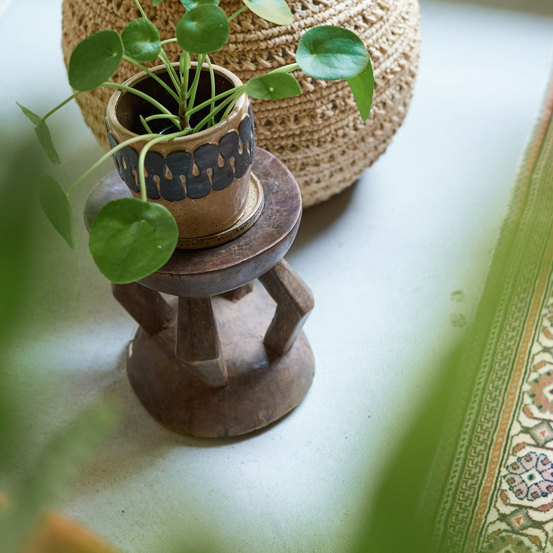 植物との相性は抜群で、ひとつのインテリアとして目を引きます。